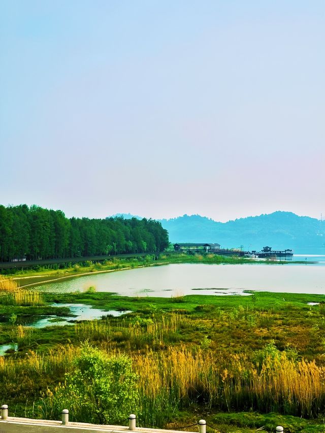 青山湖 | 邂逅城市中的詩意水鄉，開啟靜謐湖居之旅