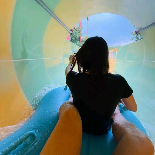 🌊4.26開園！廣州森林海嬉水樂園，50+項目嗨玩一夏！