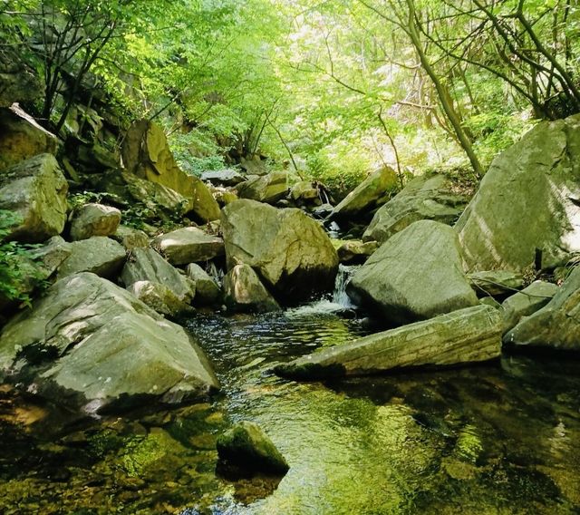 2天1夜遊南陽 | 老界嶺與桐柏山深度遊
