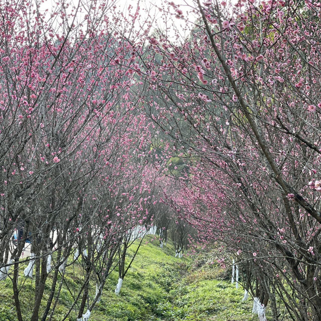 Whimsical charms of spring