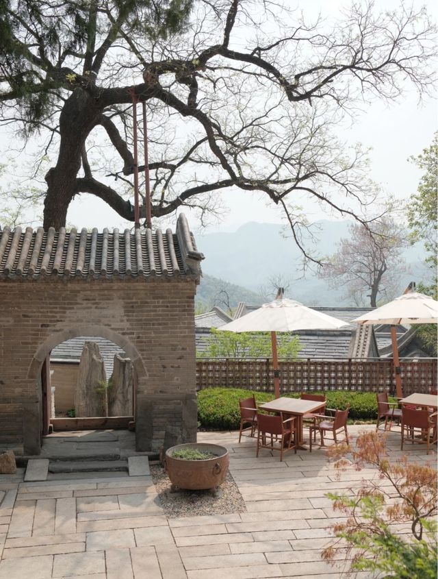 悉曇酒店| 半是青山，半是閒·上半日！