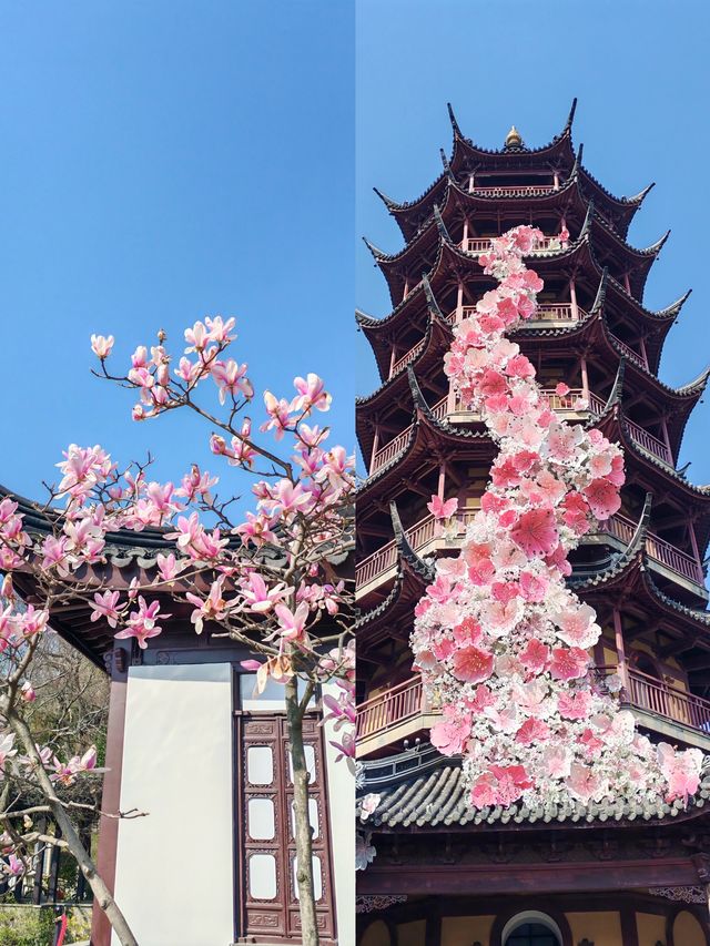 真的愛慘了這一派春和景明