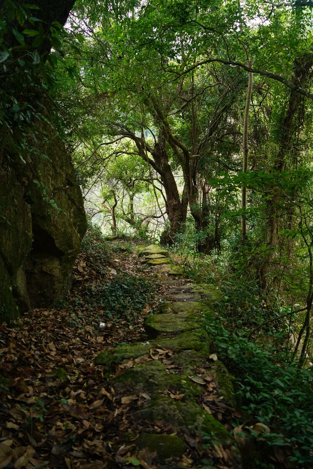 德化濟美橋（二）