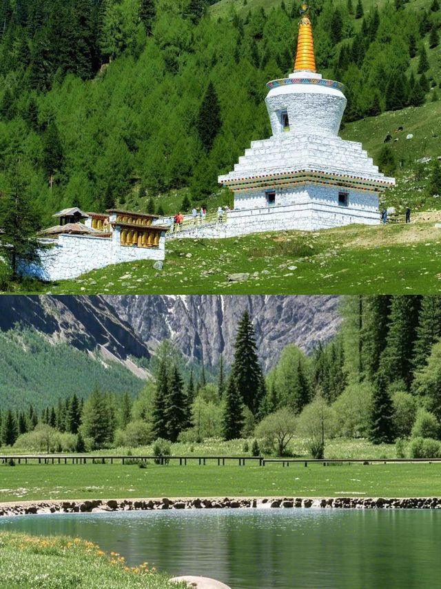 四姑娘山豪賭成功！美過瑞士嘅夏日氧吧