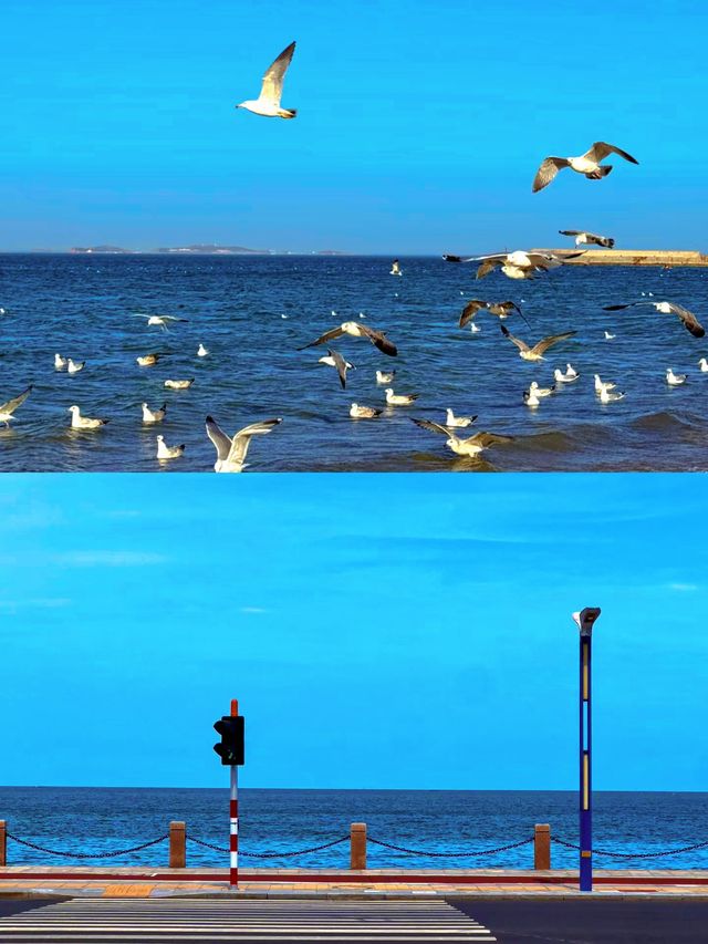 仙境海岸，醉美煙台