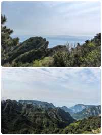 雲端暴走！王莽嶺掛壁奇遇之旅
