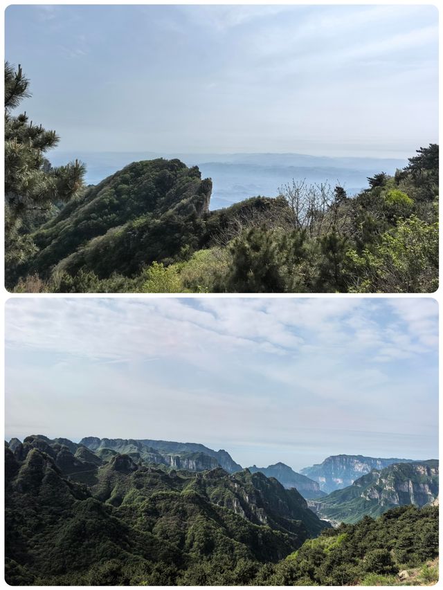 雲端暴走！王莽嶺掛壁奇遇之旅