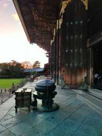 奈良東大寺，千年古剎的寂靜詩篇