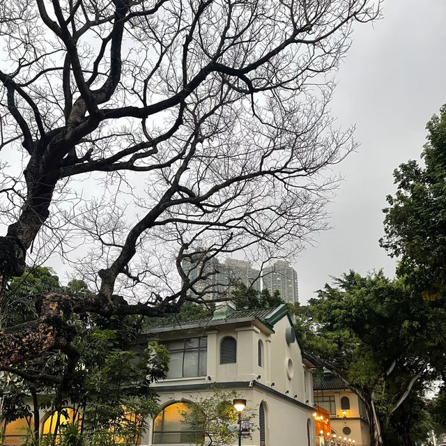 必打卡！香港文化博物館，藏在公園裡的歷史寶庫
