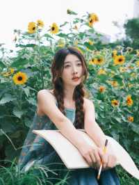 救命！在深圳撞進了向日葵的盛夏時光🌻每一幀都像被陽光吻過的浪漫畫報！