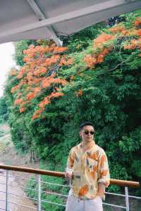 喺呢艘郵輪上，我遇見咗杜拉斯嘅情人