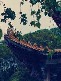 羅浮山寶積寺：尋幽訪勝，淨化心靈