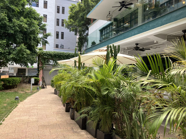  Hong Kong’s Free Creative Playground: PMQ!