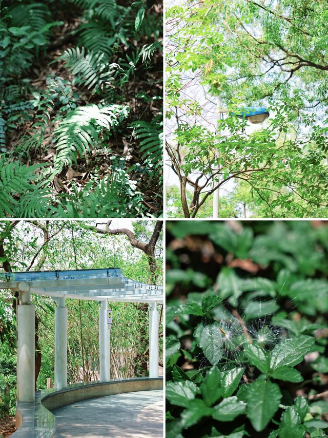 返工攰咗就去行山啦～廣州市區小眾行山路線～
