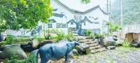 舉淤口偶遇：一場雨將村落洗成了詩的模樣