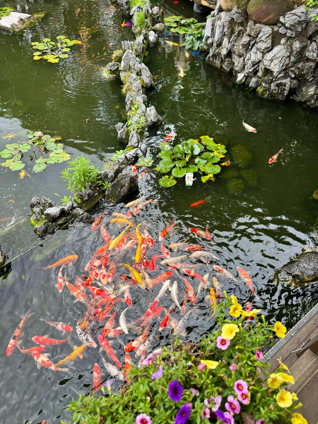 原本以為岳麓山已經夠靚。。。直到去咗呢度