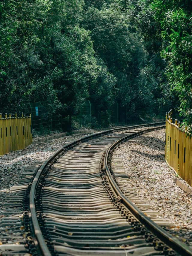 開往夏日森林秘境的列車｜武漢馬鸚路萬家巷