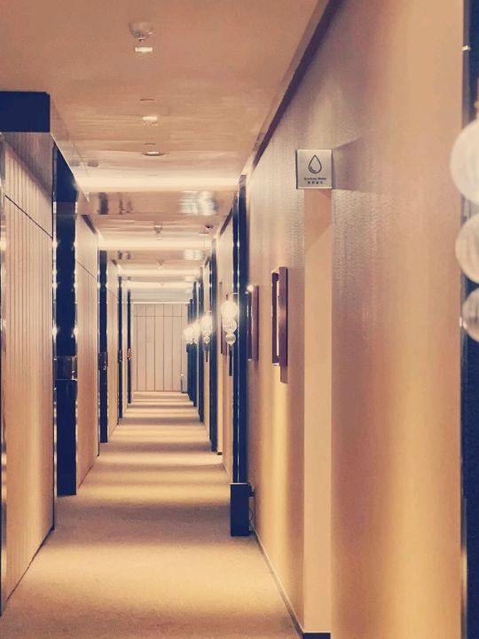 香港遨凯酒店：亲子出行理想之選