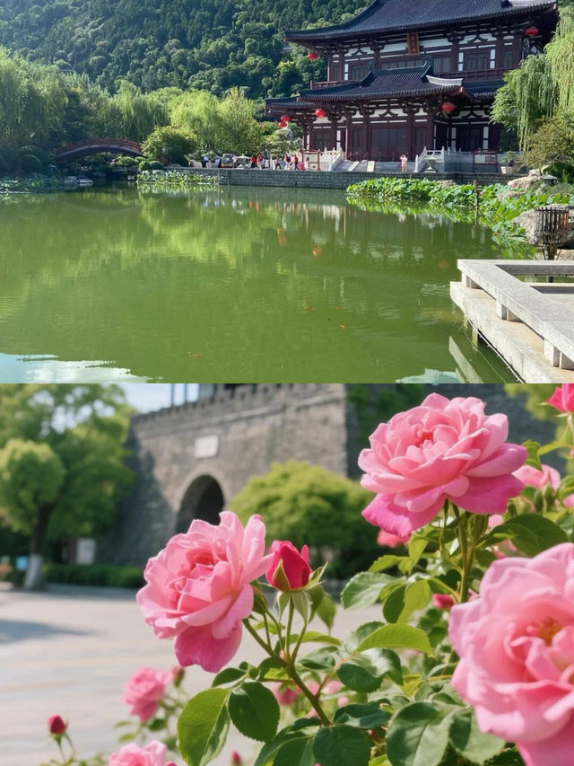 西安XIAN！6 - 8月去西安嘅攻略，直接抄功課