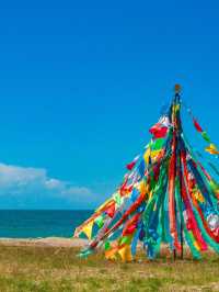 青海湖油菜花旅遊攻略｜邂逅金黃花海