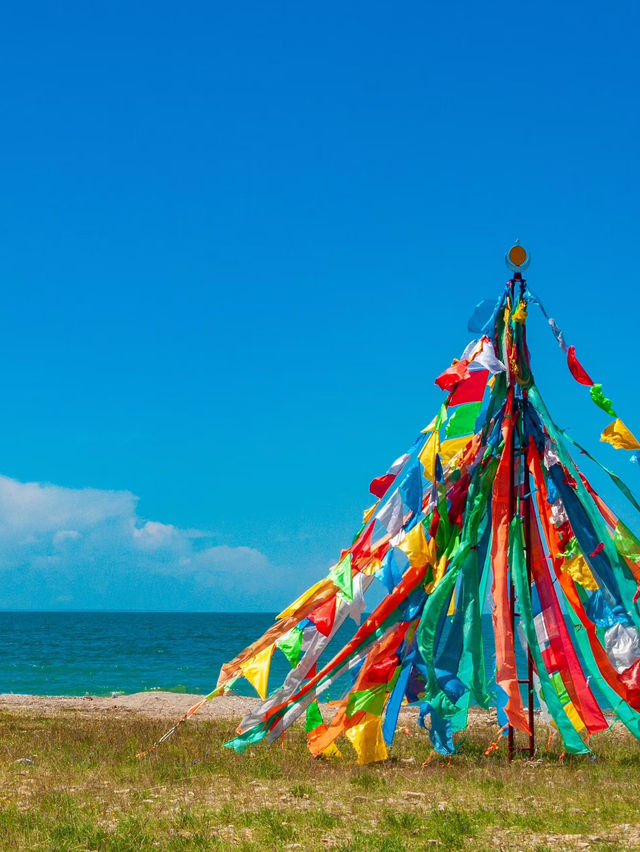 青海湖油菜花旅遊攻略｜邂逅金黃花海