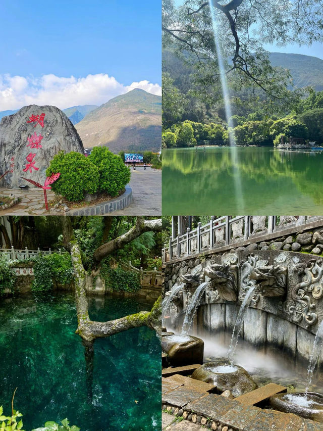 一直令我念念不忘嘅蝴蝶泉 一直令我念念不忘嘅蝴蝶泉