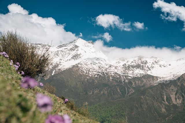 四姑娘山