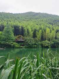 煙雨天目湖，解鎖江南詩意密碼