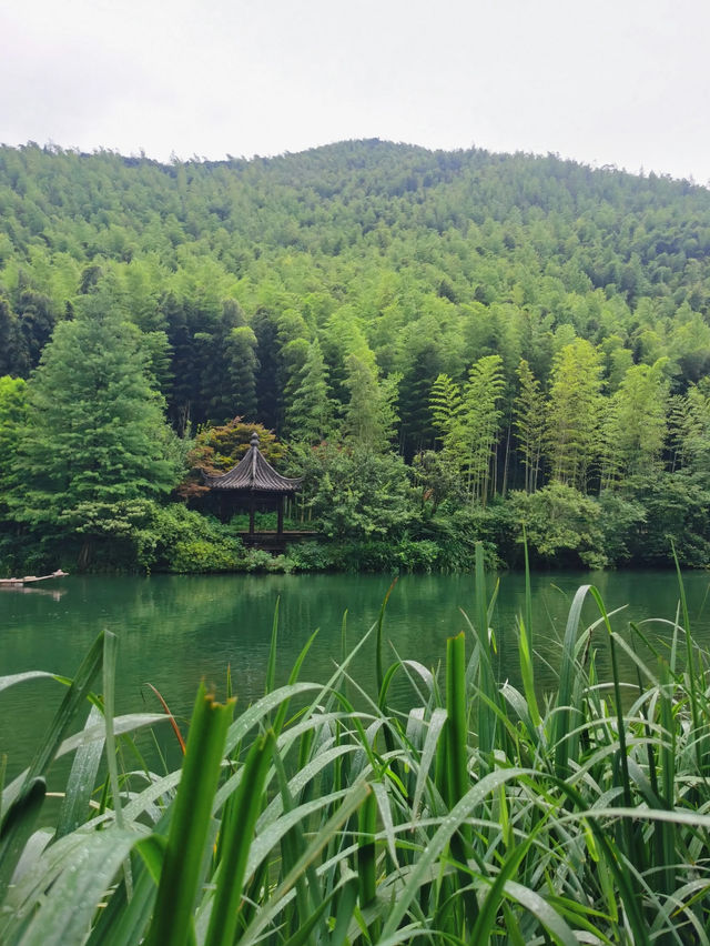 煙雨天目湖，解鎖江南詩意密碼