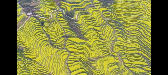 邂逅篁嶺，赴一場夢幻的田園之約   踏入篁嶺，彷彿穿越時空，走進了一幅被歲月珍藏的江南畫卷。連綿的山