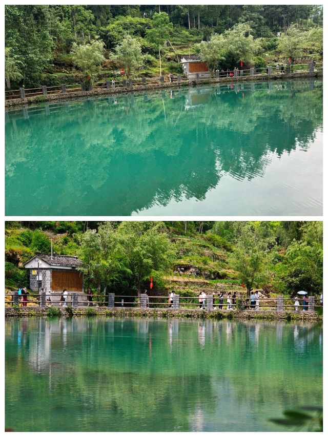 剛從雲舍村返嚟，講啲難聽嘅大實話