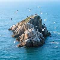 被低估嘅海上童話世界海驢島旅遊攻略 各位老友！發現一處超正嘅