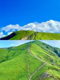 江西呢座神山藏唔住啦！武功山雲海靚到窒息，洗版預定！