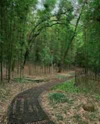 南寧狮山公園拍照秘境分享