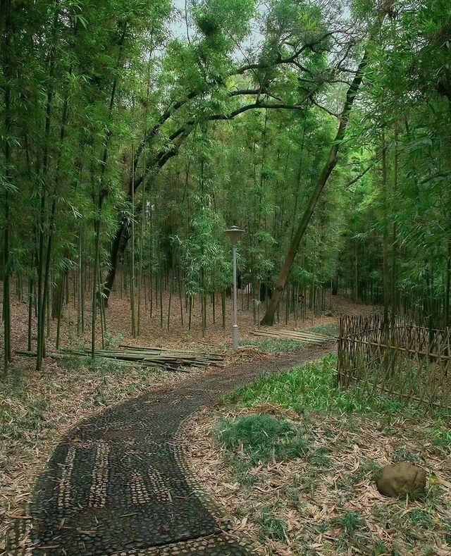 南寧狮山公園拍照秘境分享