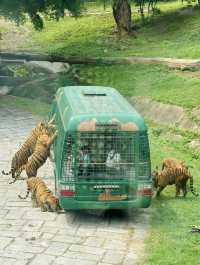 2025年暑假深圳野生動物園避坑指南
