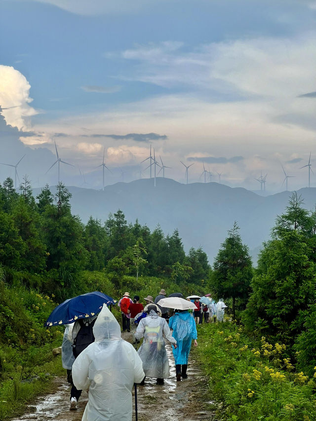 雨天徒步茶坪｜邂逅宮崎駿同款小黃花秘境