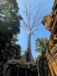 Angkor Wat – magic in Cambodia