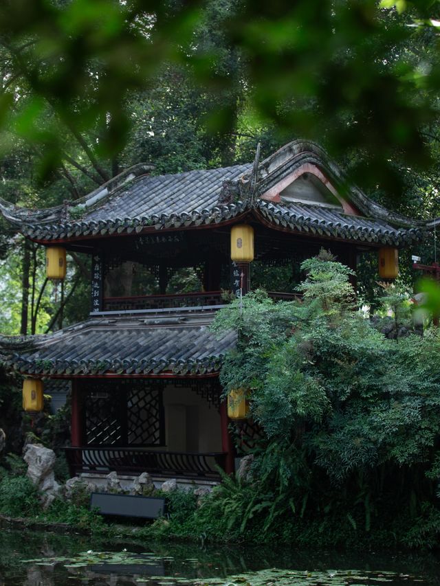 成都周邊呢個宋代秘境｜我終於集齊佢嘅四季絕美時刻！