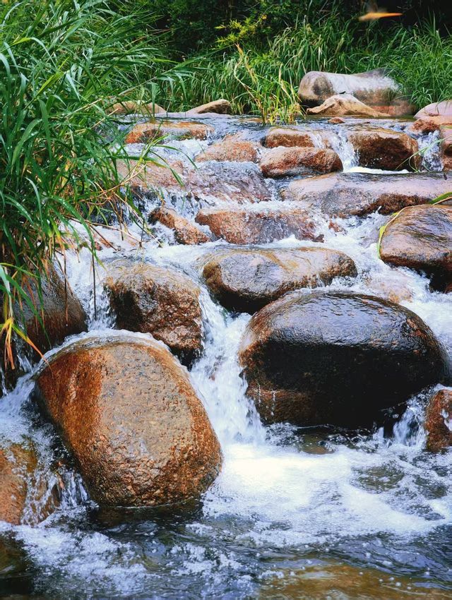 石樑溯溪—自然嘅野，野得自然