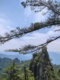7-8月洛陽穿越手冊｜喺40℃高溫下同古人貼貼嘅硬核指南