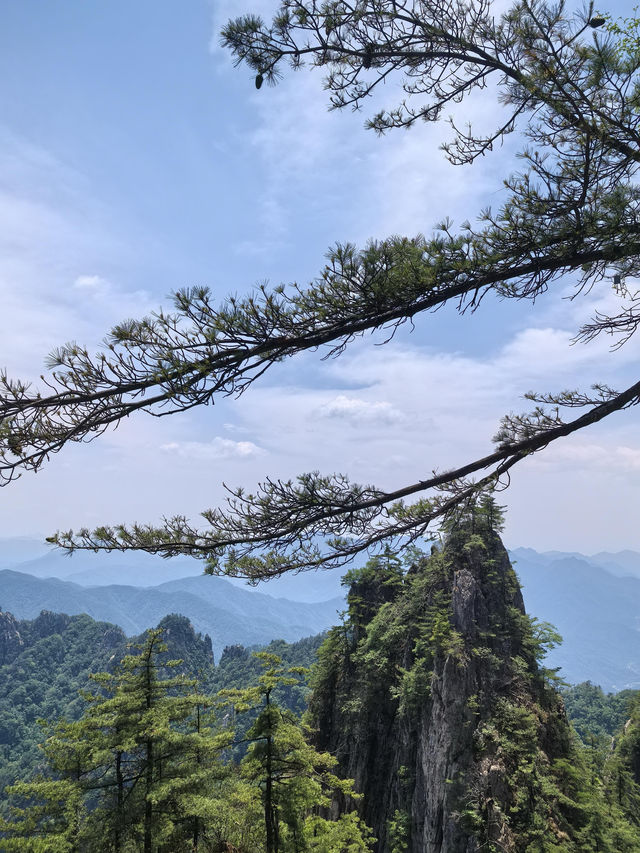 7-8月洛陽穿越手冊｜喺40℃高溫下同古人貼貼嘅硬核指南