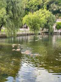 安順小眾旅遊地