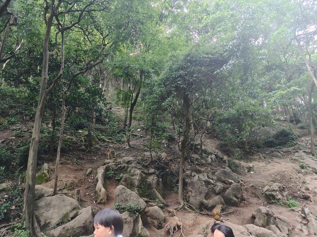 粵桂貴6日5晚遊：山水之間，穿越民族風情之旅