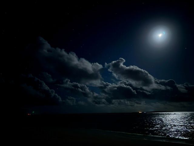Island Paradise Awaits