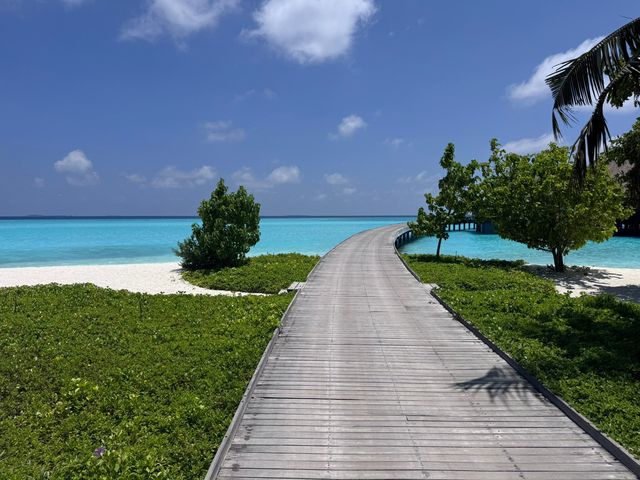 A Memorable Return to the Maldives