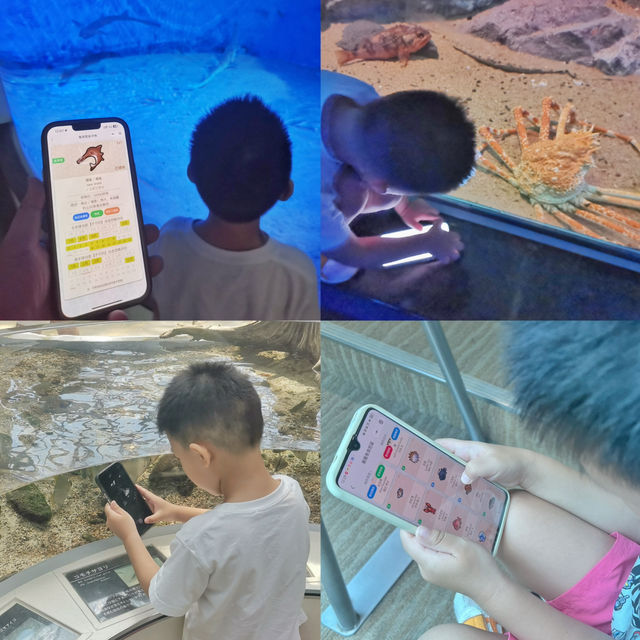 打卡日本水族館1:名古屋港水族館