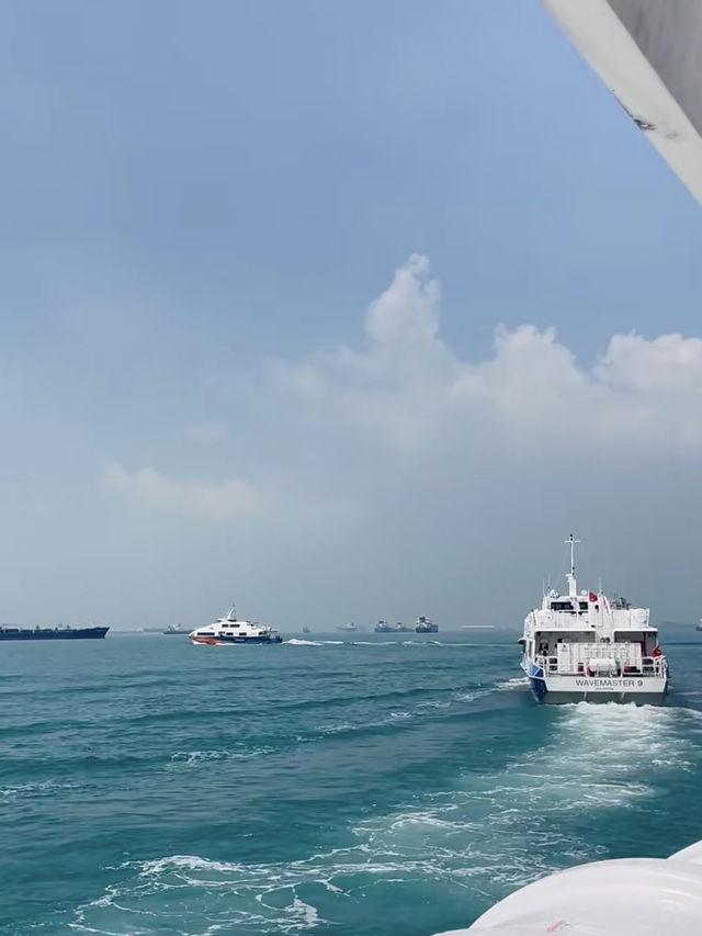 Batam Island Day Cruise: Tropical Escape Just a Boat Away! 🚤🌴