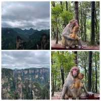 🏞️闖入仙境!張家界武陵源超詳攻略