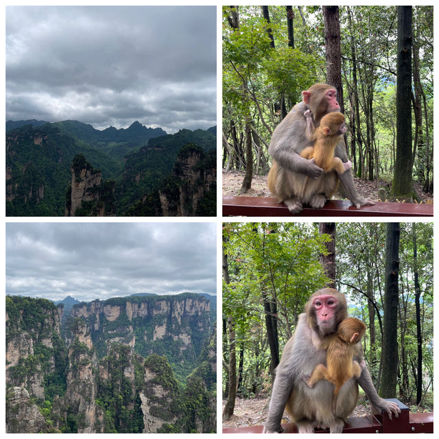 🏞️闖入仙境!張家界武陵源超詳攻略 🏞️闖入仙境!張家界武陵源超詳攻略